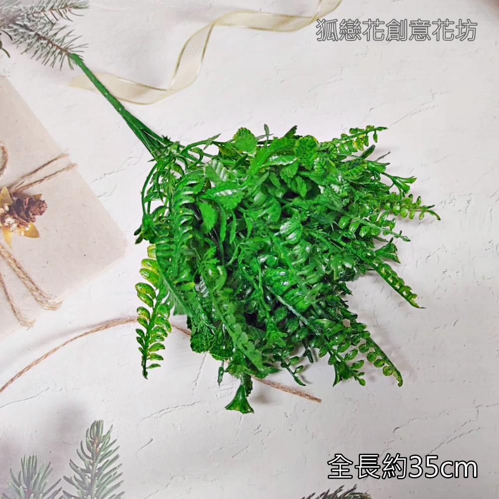 7叉配草(深綠)