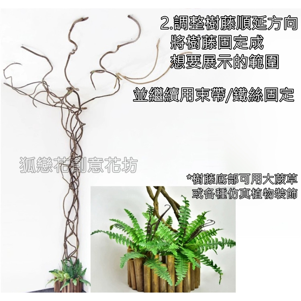 台灣現貨【花藝葉材枝條】榕樹葉金色葉材無葉枝條束帶 插花支撐造型結構 商業陳列婚禮節慶佈置 多規格 聖誕佈置 花藝材料