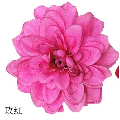 【富麗玫紅】12cm大麗花4朵