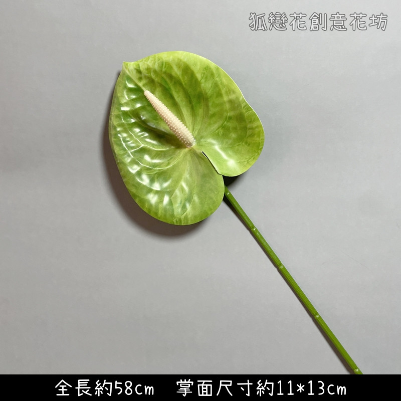 綠色單枝火鶴