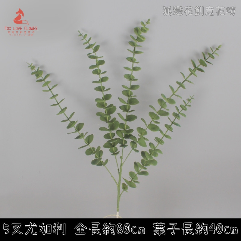 5叉長枝尤加利(綠)