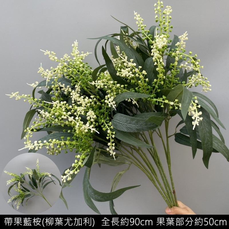 長枝柳葉尤加利(帶果)