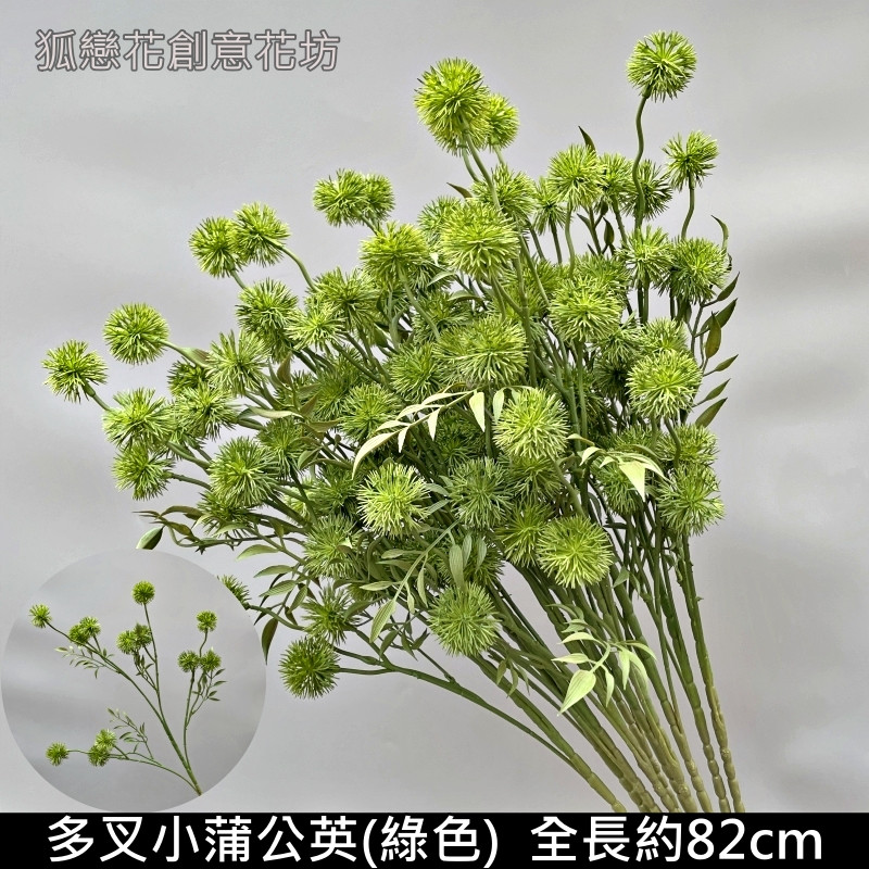 綠色多叉小蒲公英