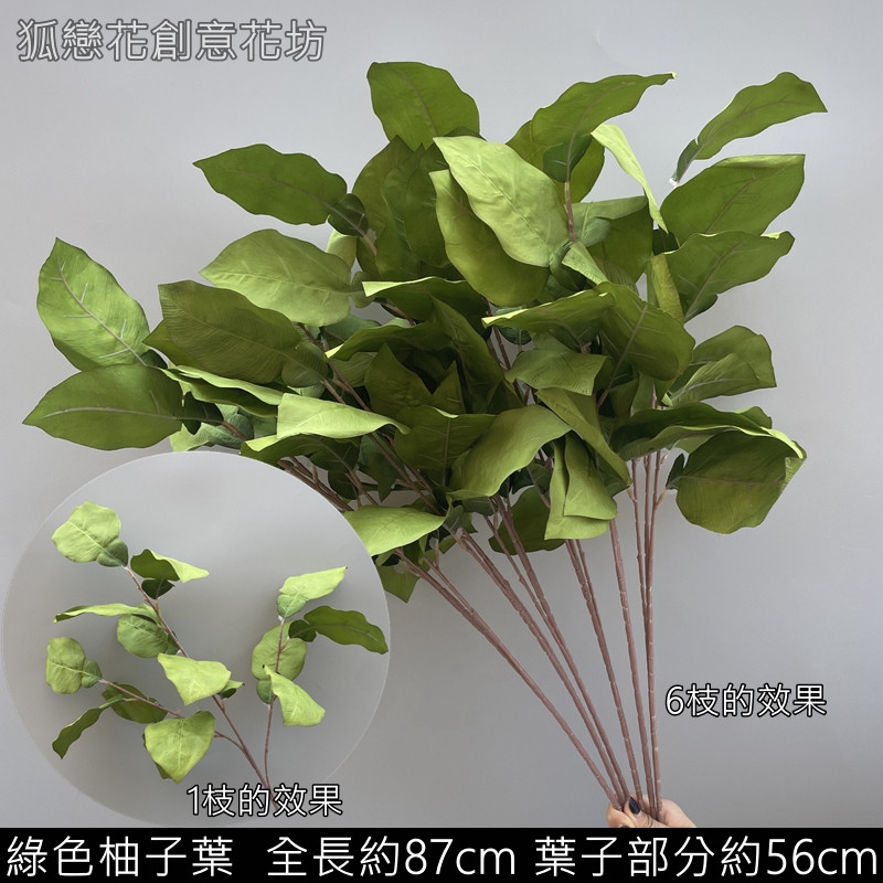 綠色柚子葉