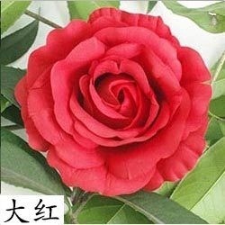 【鴻運大紅】12cm大玫瑰4朵