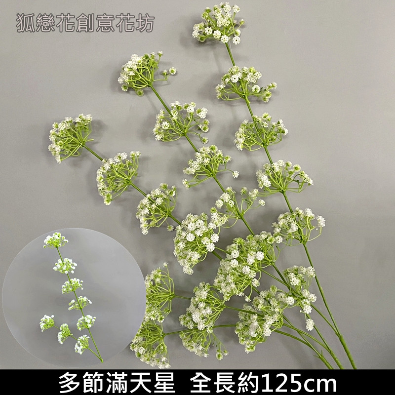 多節滿天星
