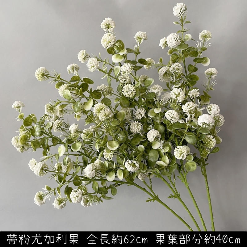 帶粉尤加利果(白綠)