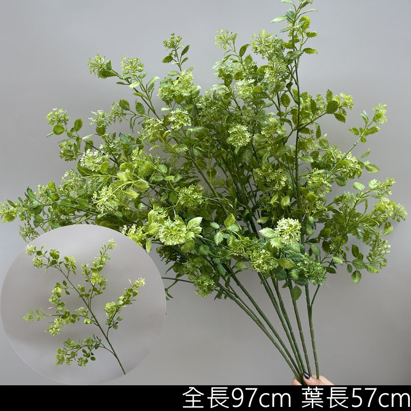 綠色情人果