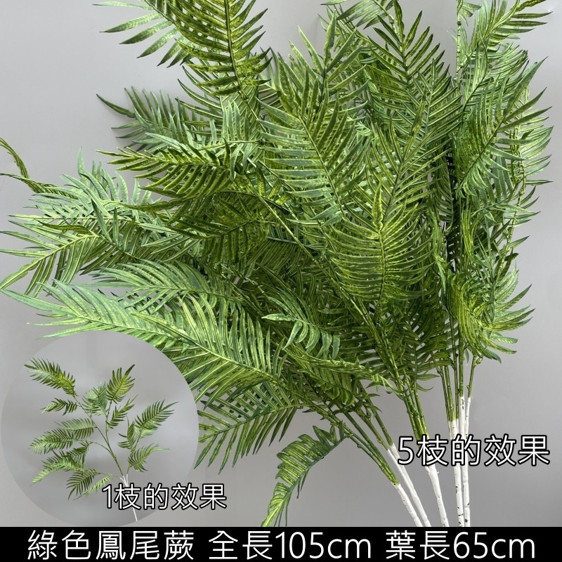 綠色鳳尾蕨