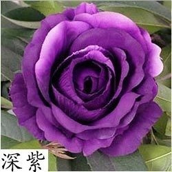 【貴氣深紫】12cm大玫瑰4朵