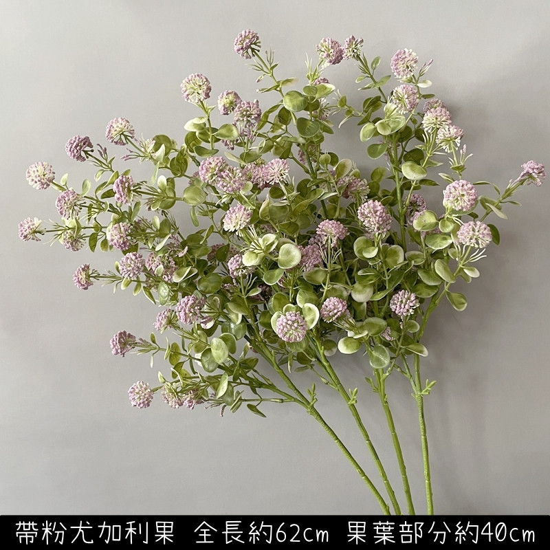 帶粉尤加利果(紫綠)