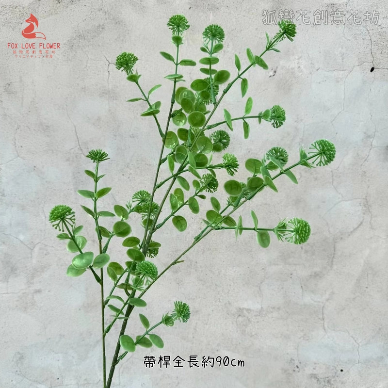 開花尤加利(綠)