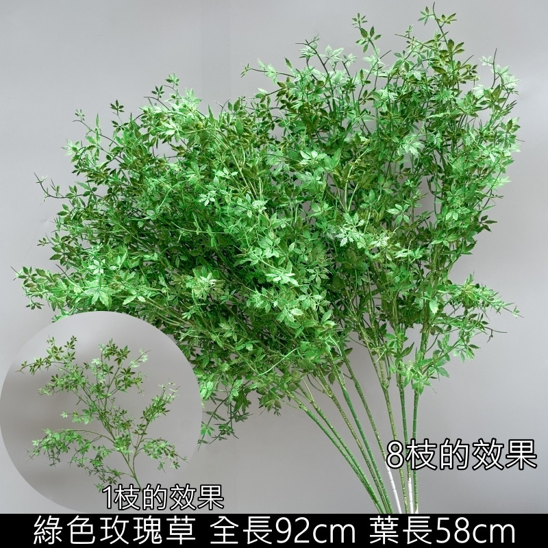 綠色玫瑰草