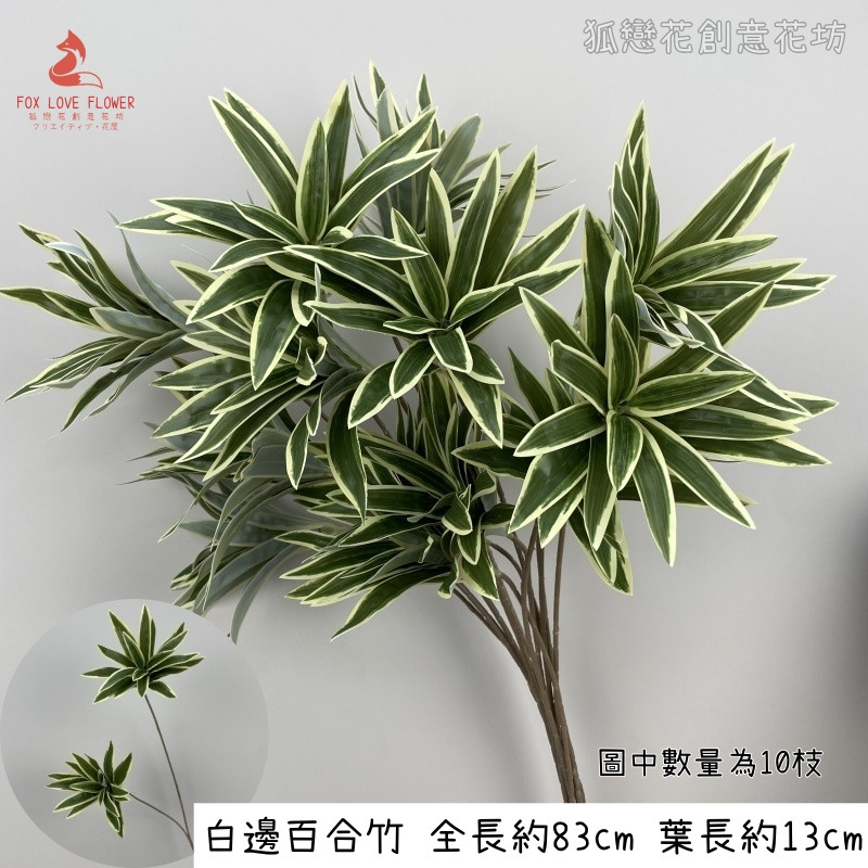 2頭白綠長枝百合竹