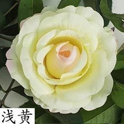 【招財淺黃】12cm大玫瑰4朵