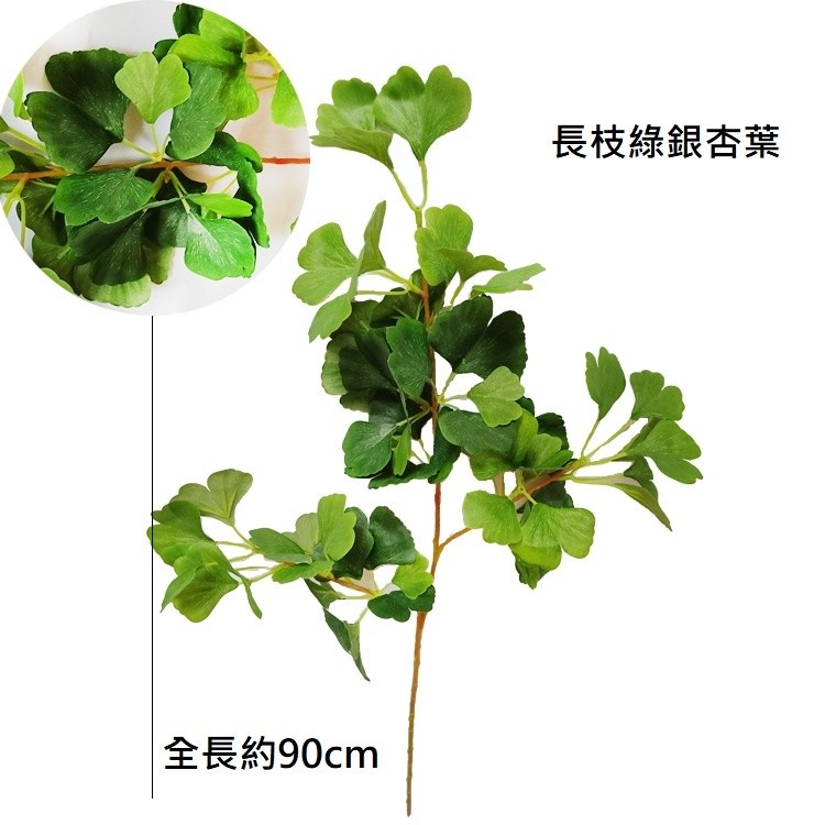 綠色長枝銀杏葉