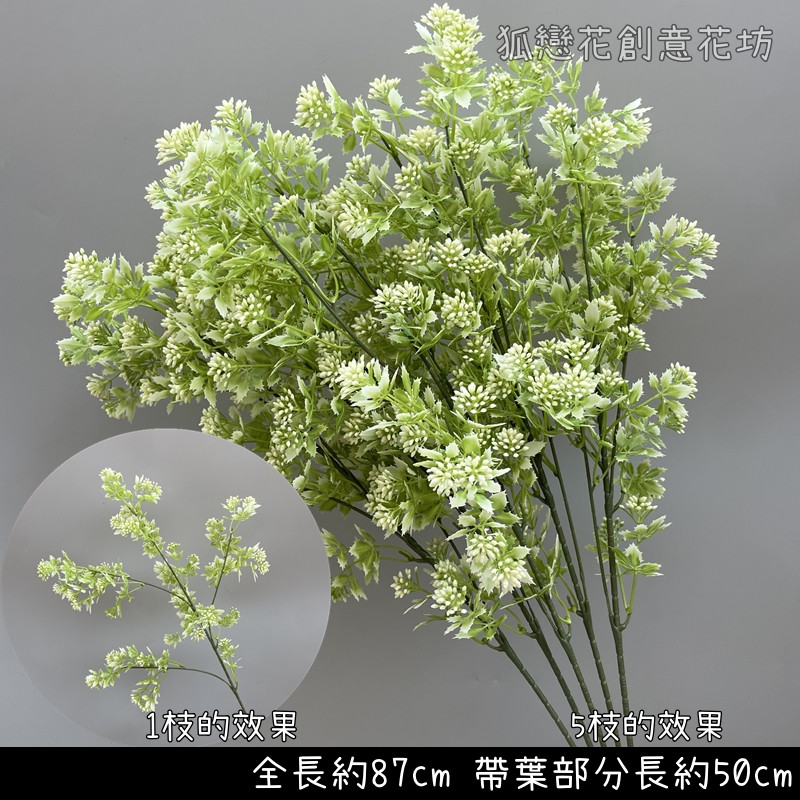 長枝情人果(白綠)