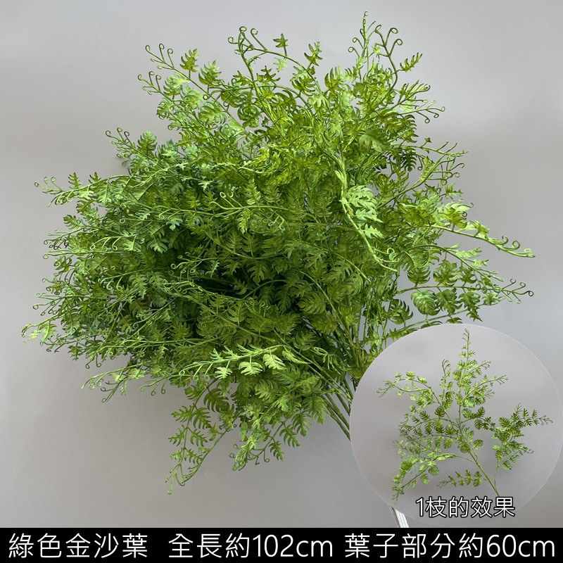 綠色金沙葉