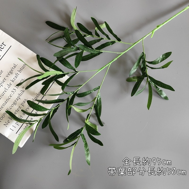 綠色長枝橄欖葉