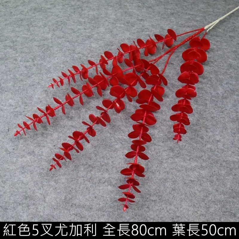 5叉長枝尤加利(紅),價錢為1束的價格
