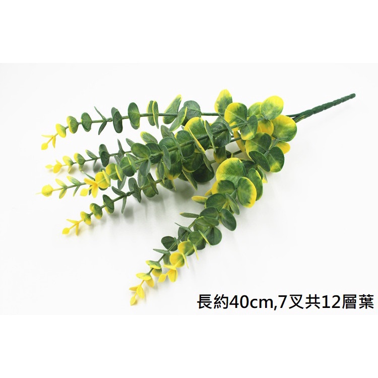 7叉尤加利葉❰黃❱,價錢為1束的價格