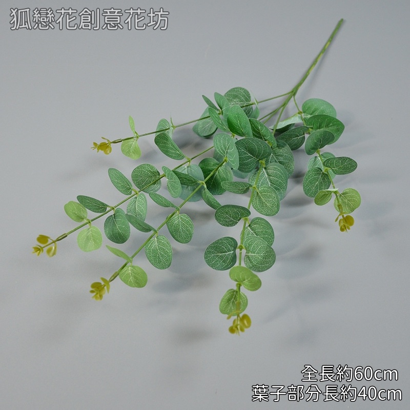 5叉絹葉尤加利(綠),價錢為1束的價格