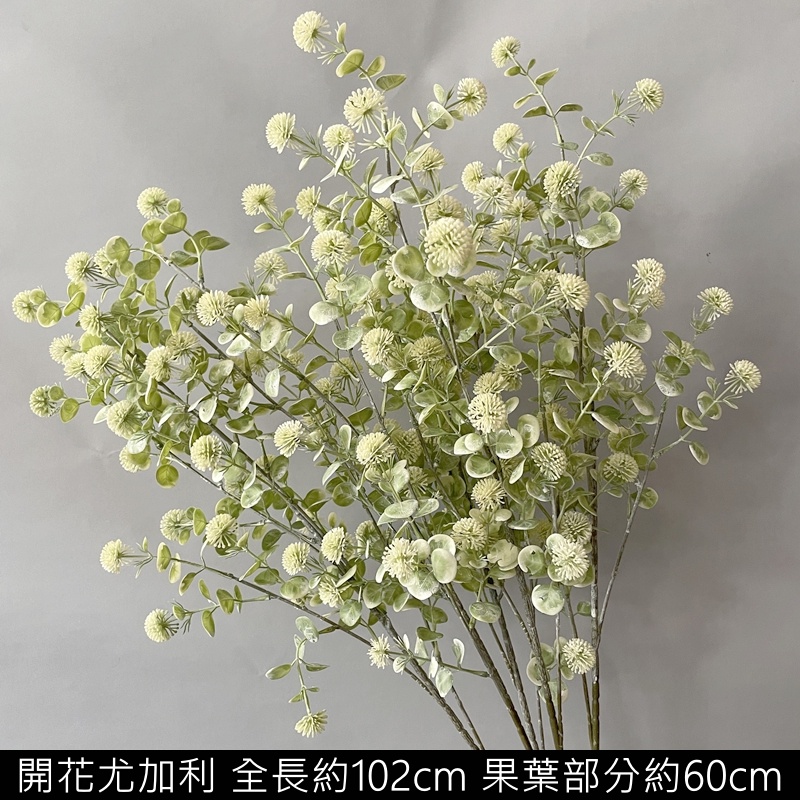 開花尤加利(白綠),價錢為1束的價格