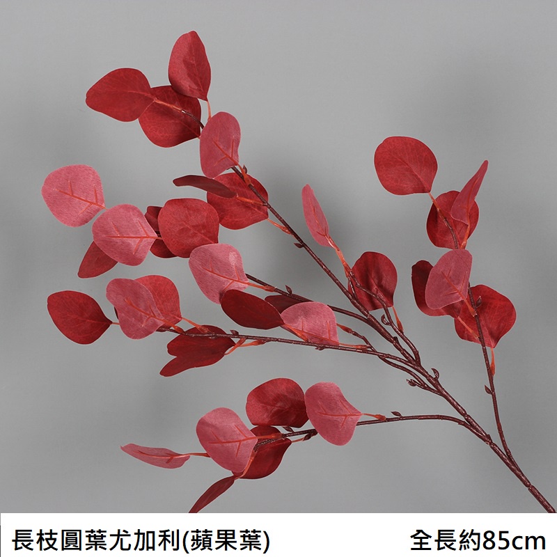 長枝圓葉尤加利❰紅❱,價錢為1束的價格