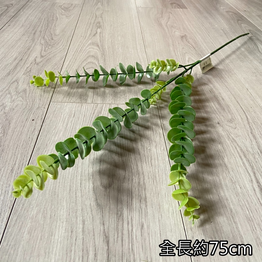 3叉長枝尤加利(綠),價錢為1束的價格