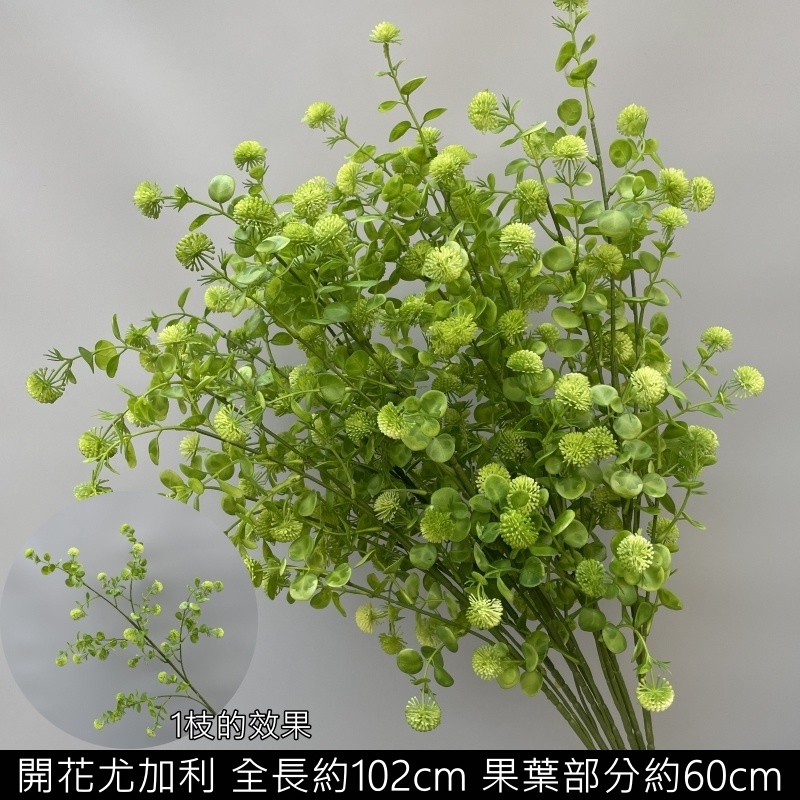 開花尤加利(綠),價錢為1束的價格