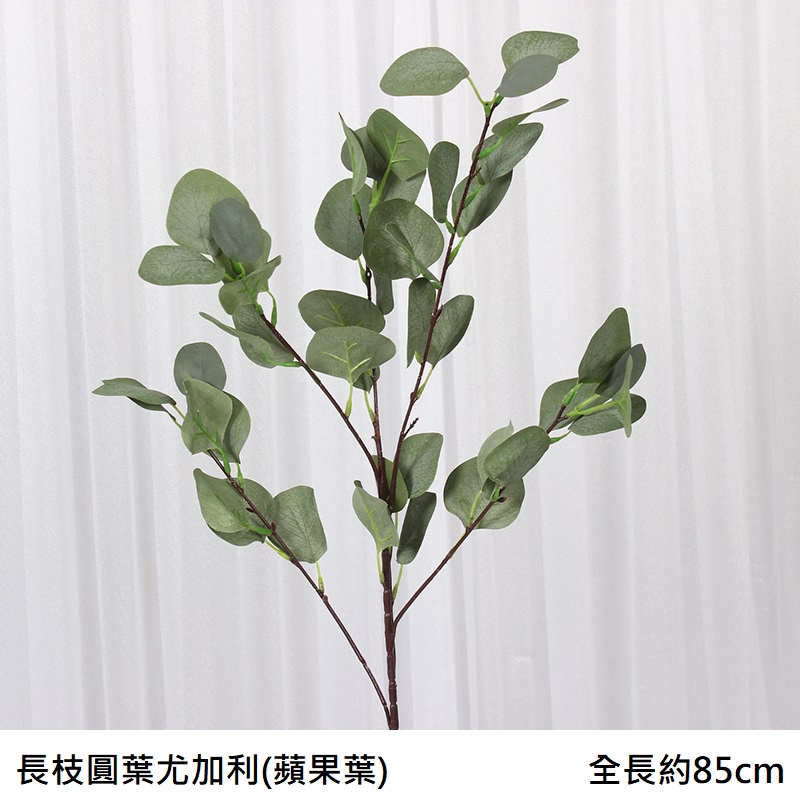 長枝圓葉尤加利❰綠❱,價錢為1束的價格