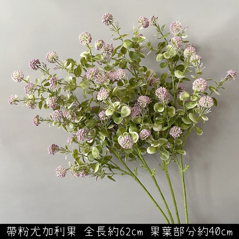 帶粉尤加利果(紫綠),價錢為1束的價格