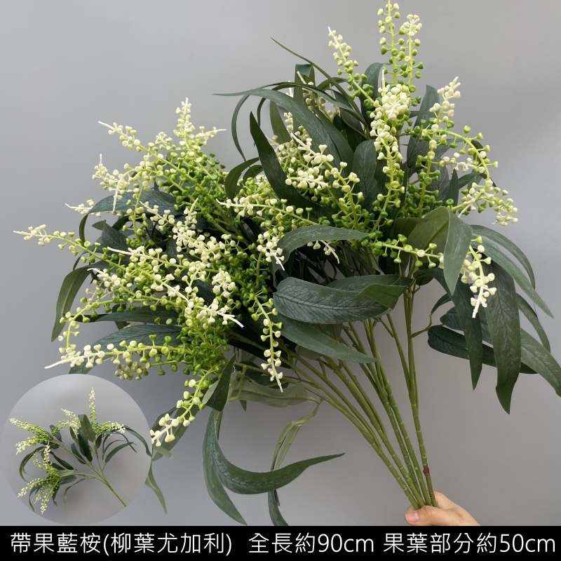長枝柳葉尤加利(帶果),價錢為1束的價格