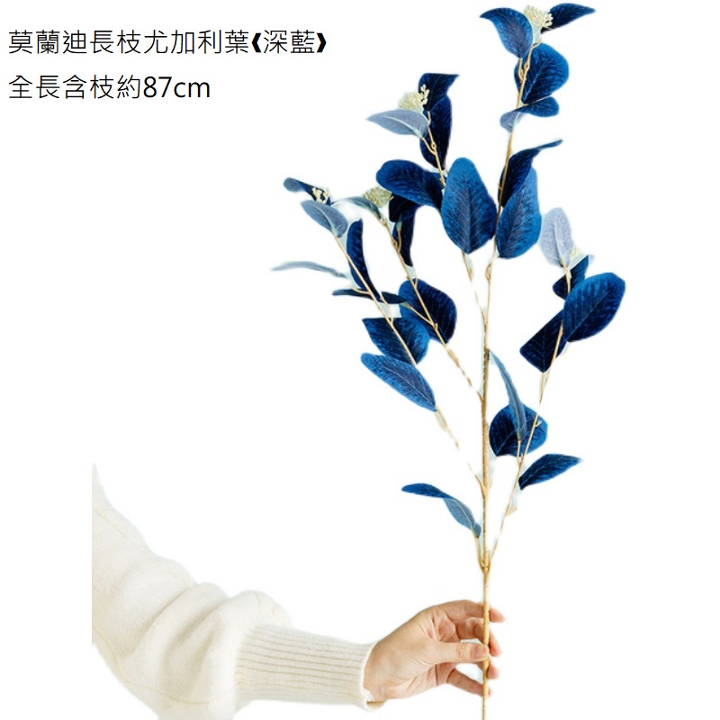 莫蘭迪長枝尤加利葉❰深藍❱,價錢為1束的價格