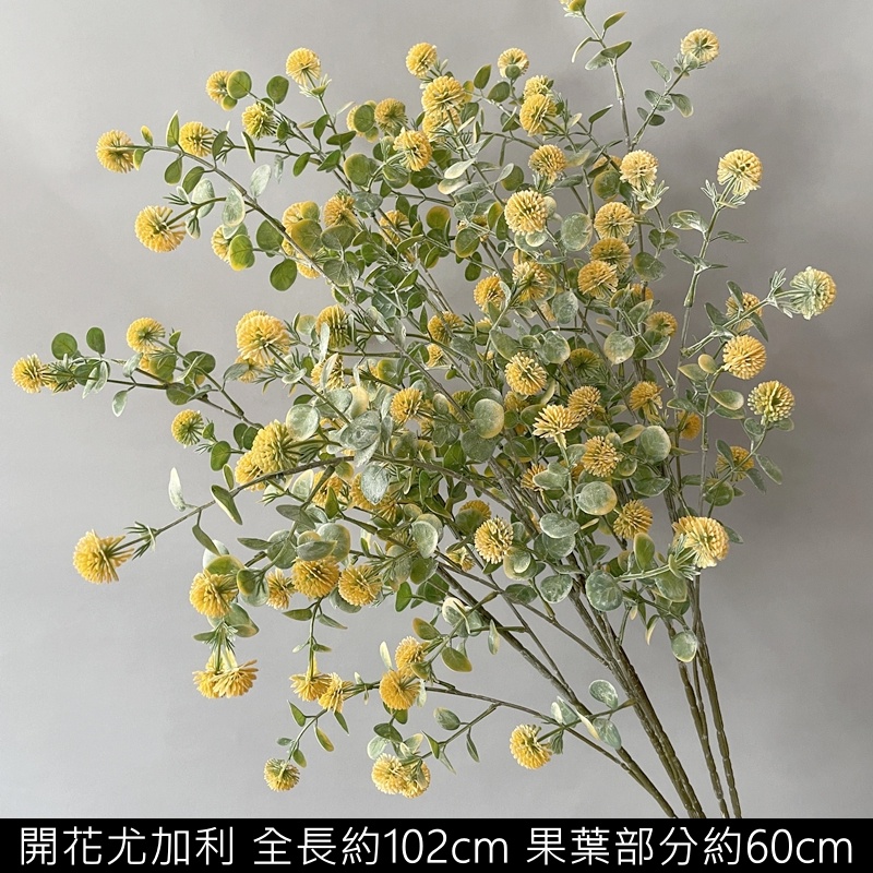開花尤加利(黃綠),價錢為1束的價格