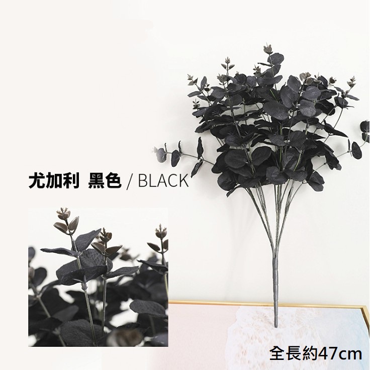 20頭北歐風格尤加利葉❰黑❱,價錢為1束的價格