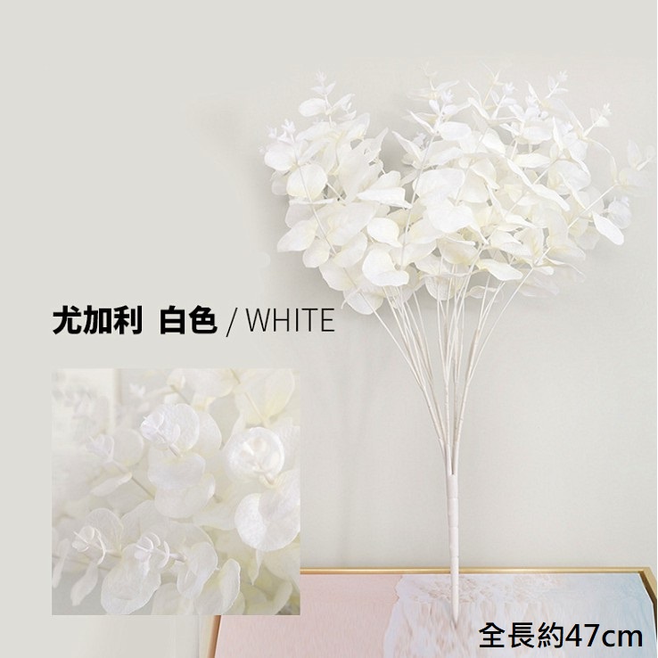 20頭北歐風格尤加利葉❰白❱,價錢為1束的價格