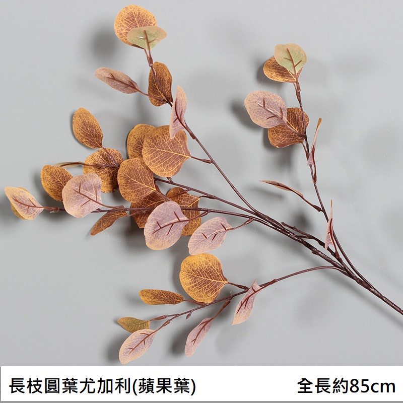 長枝圓葉尤加利❰咖啡❱,價錢為1束的價格