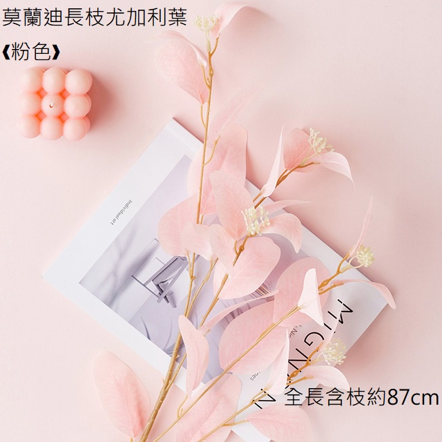 莫蘭迪長枝尤加利葉❰粉色❱,價錢為1束的價格