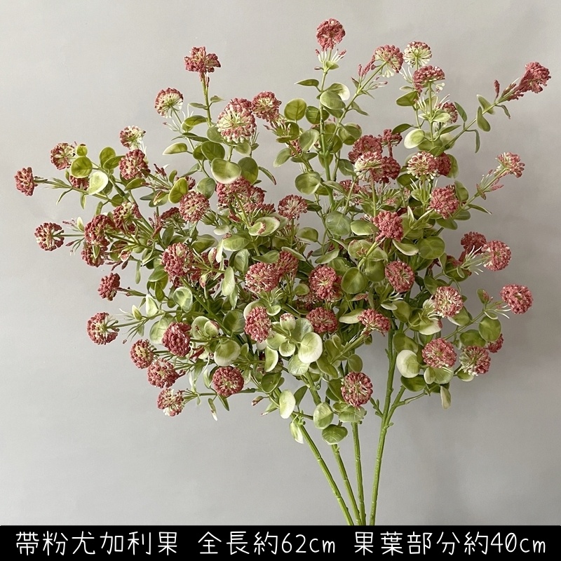 帶粉尤加利果(紅綠),價錢為1束的價格